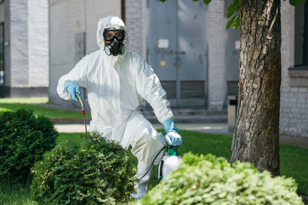 pest control worker in uniform spraying chemicals on bush pest control worker in uniform spraying chemicals on bush