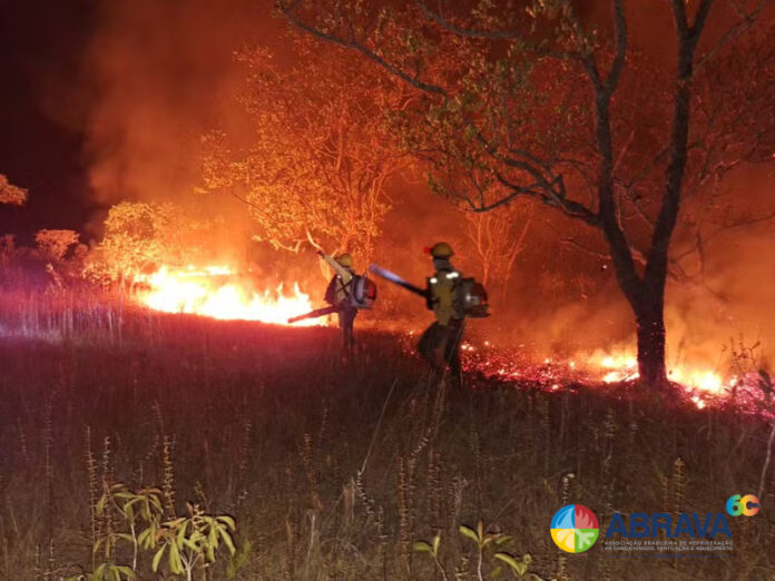 Imagem de arquivo - Queimadas em região florestal. — Foto: Divulgação/Ibama